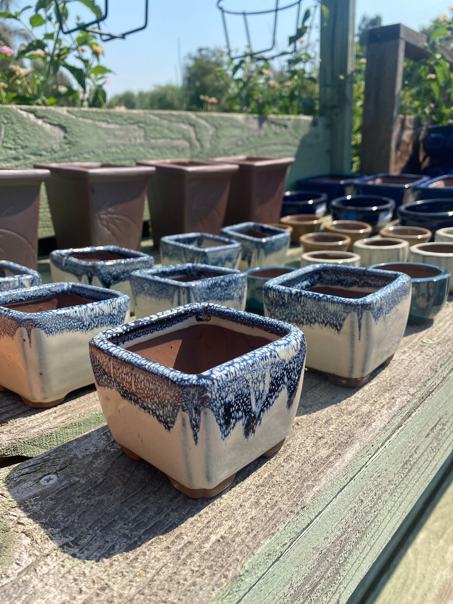 Bonsai Pots