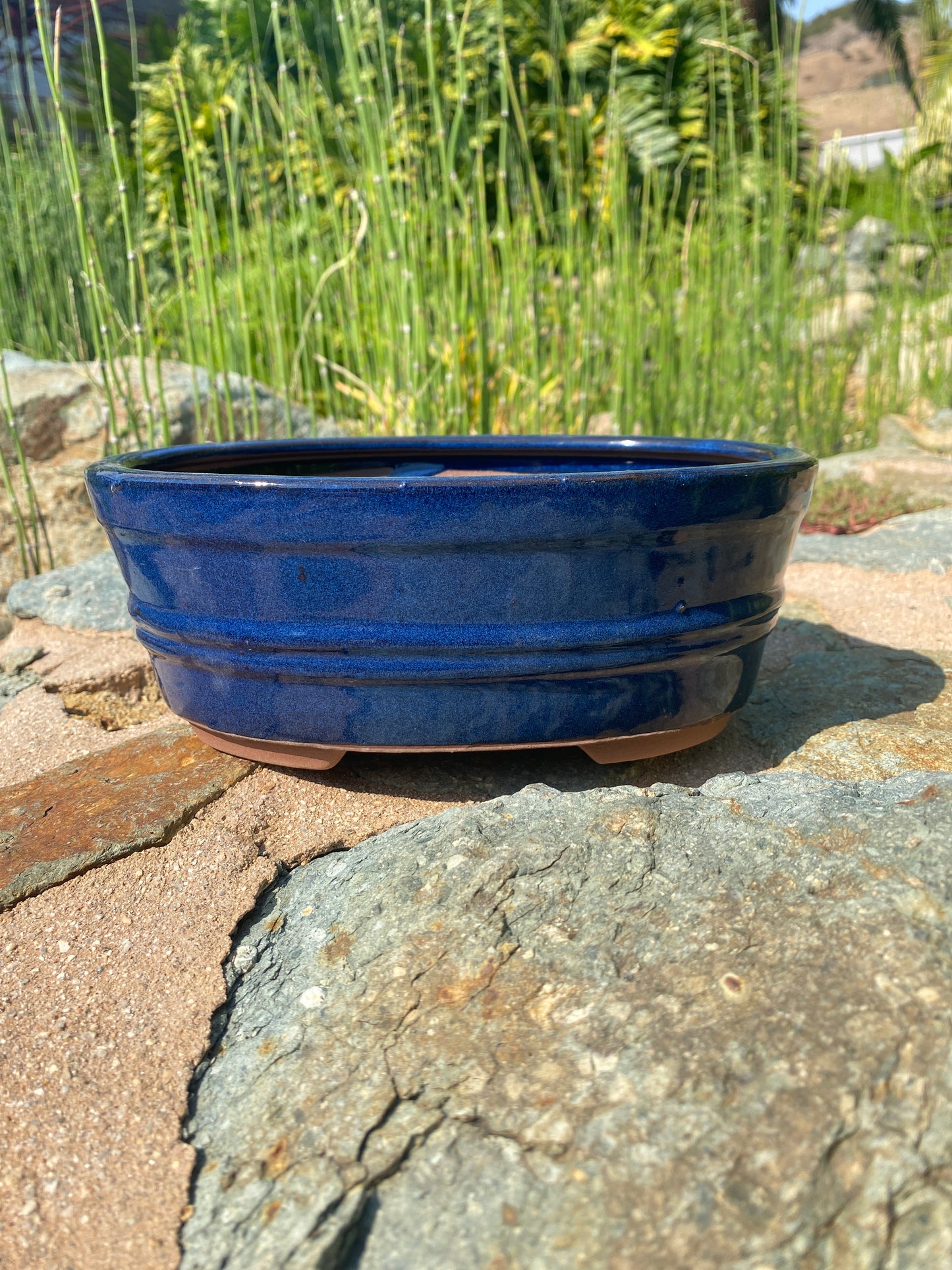 Ribbed Bonsai Pot