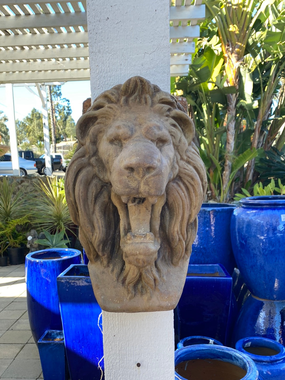 Wall Mounted Lion Head