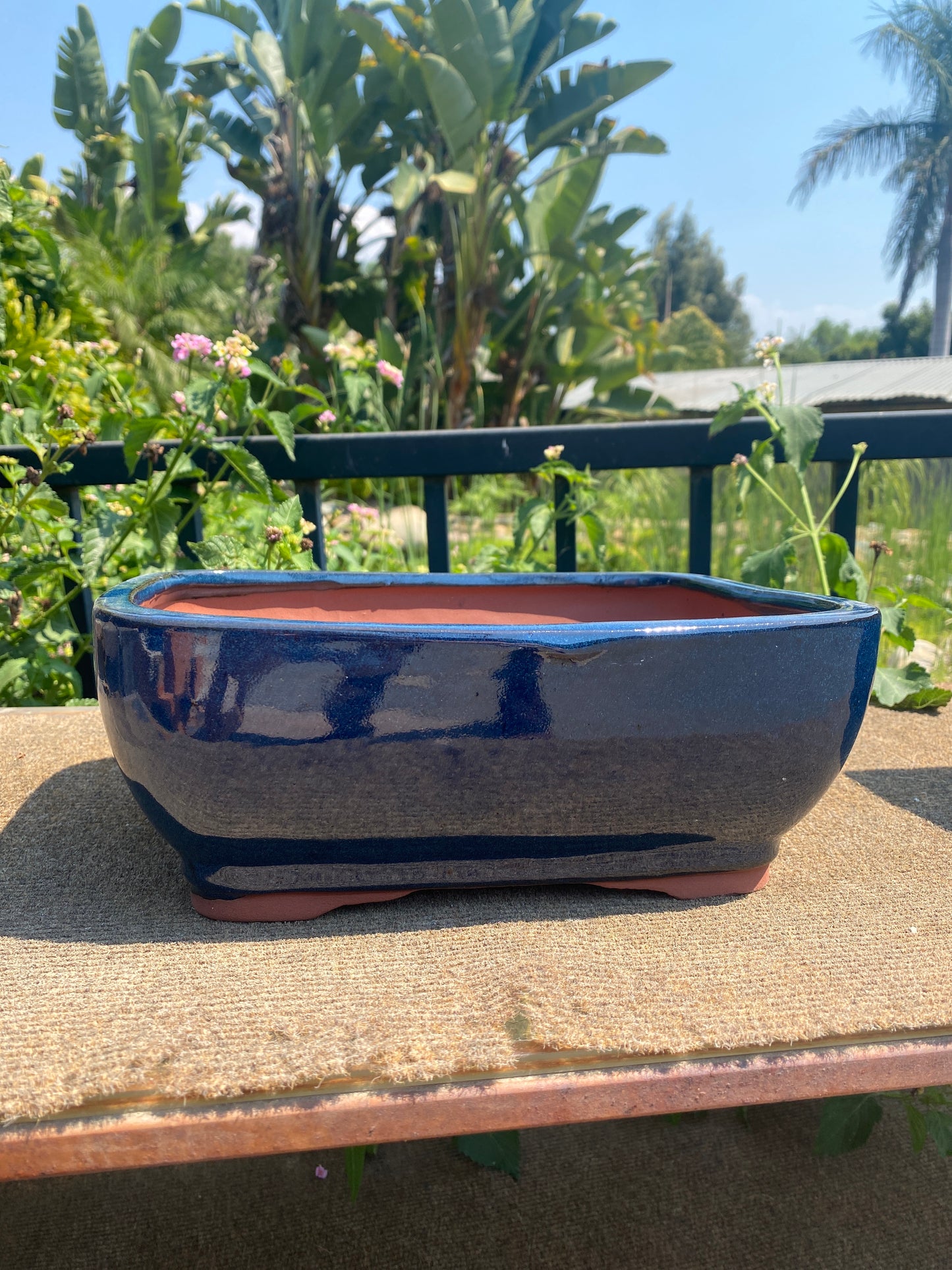 Bonsai Pot