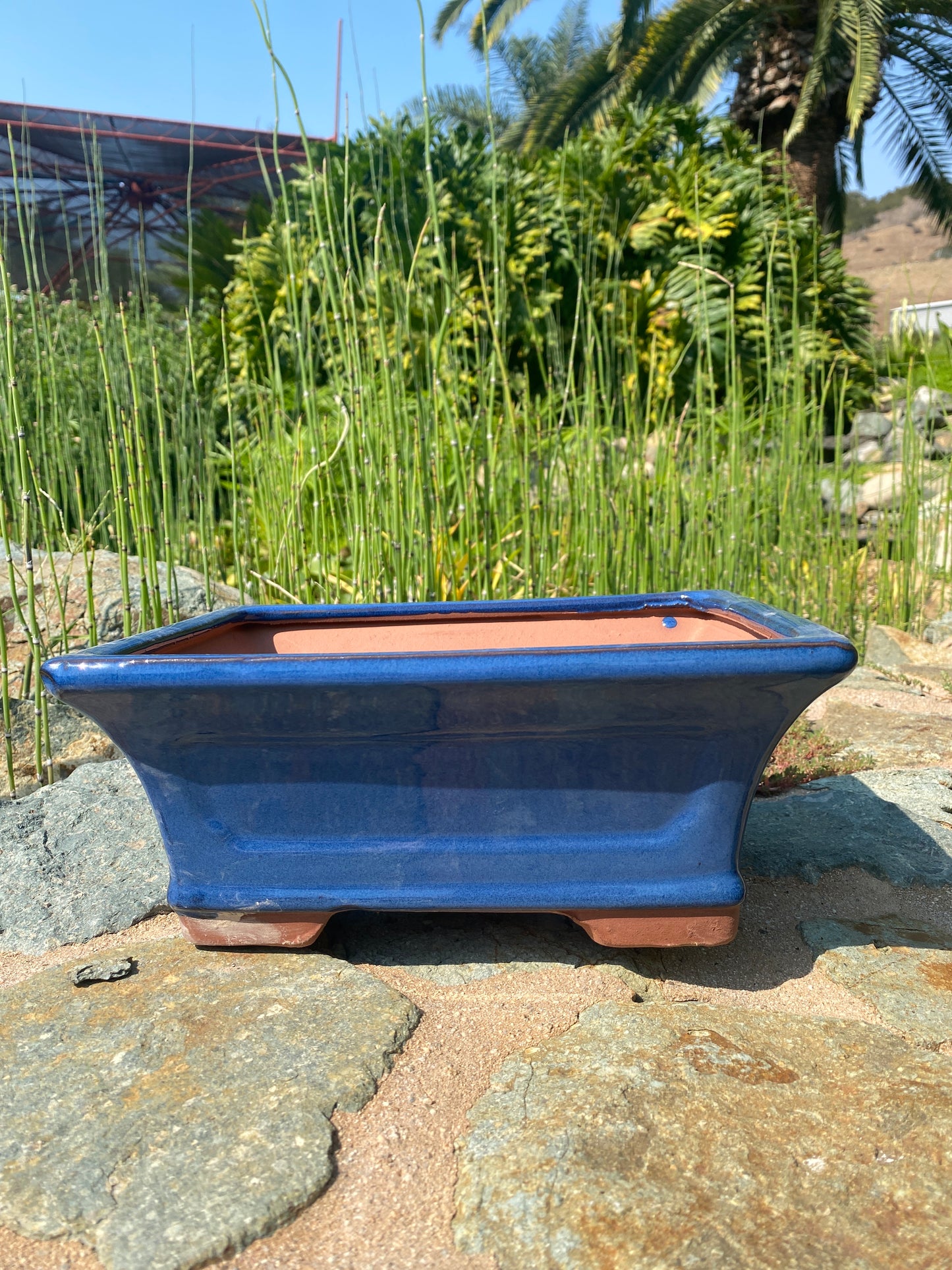 Tall Rectangular Bonsai Pot