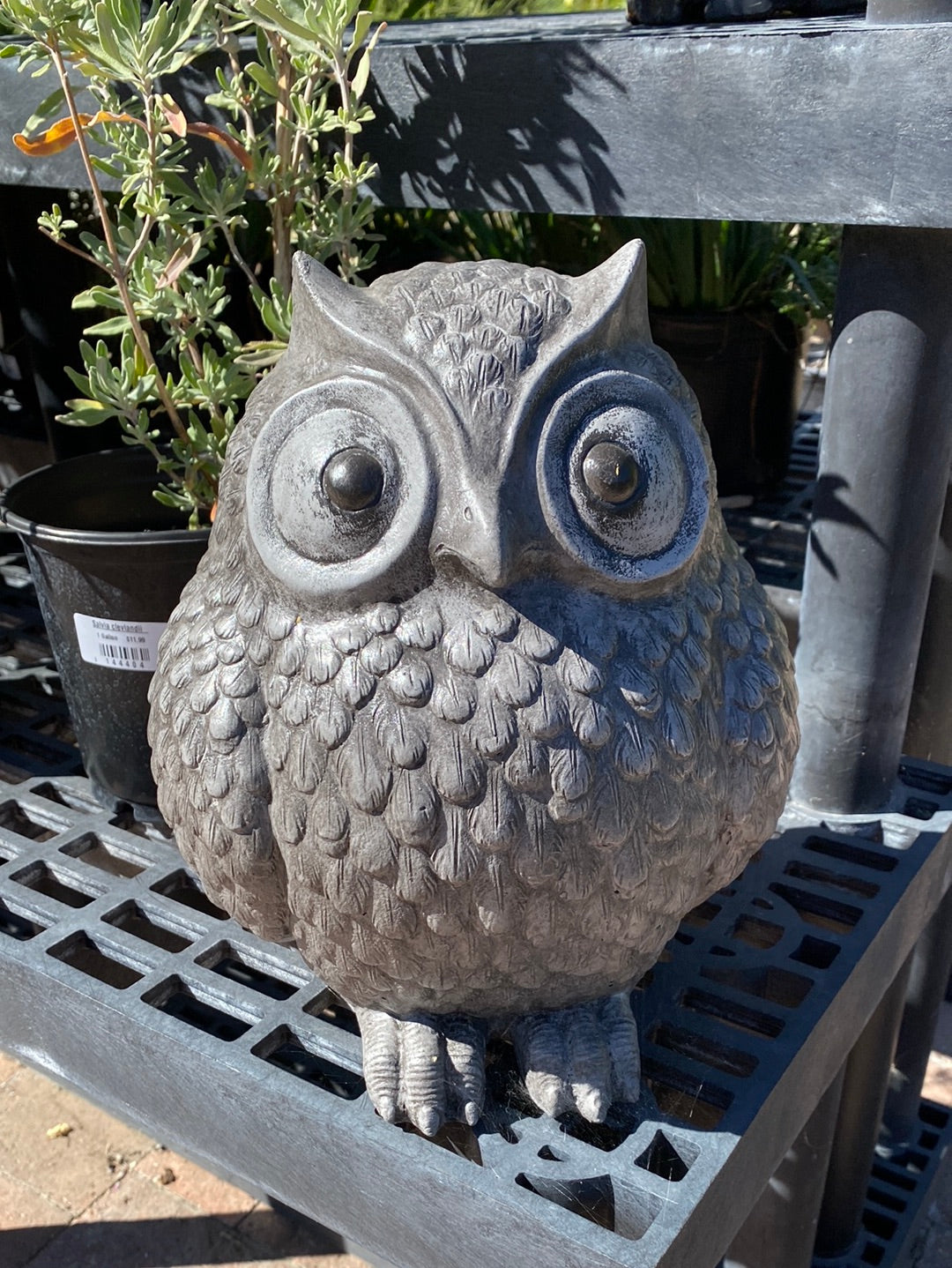 Owl Statue