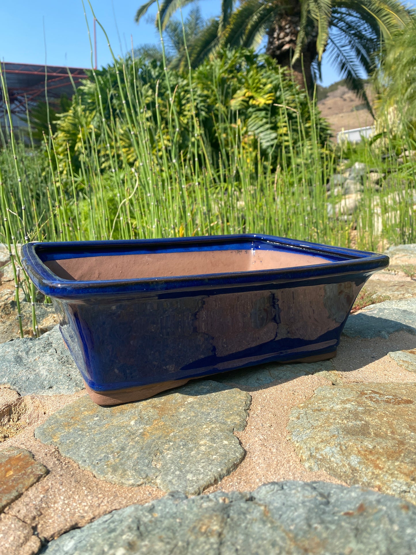 Rectangular Bonsai Pot