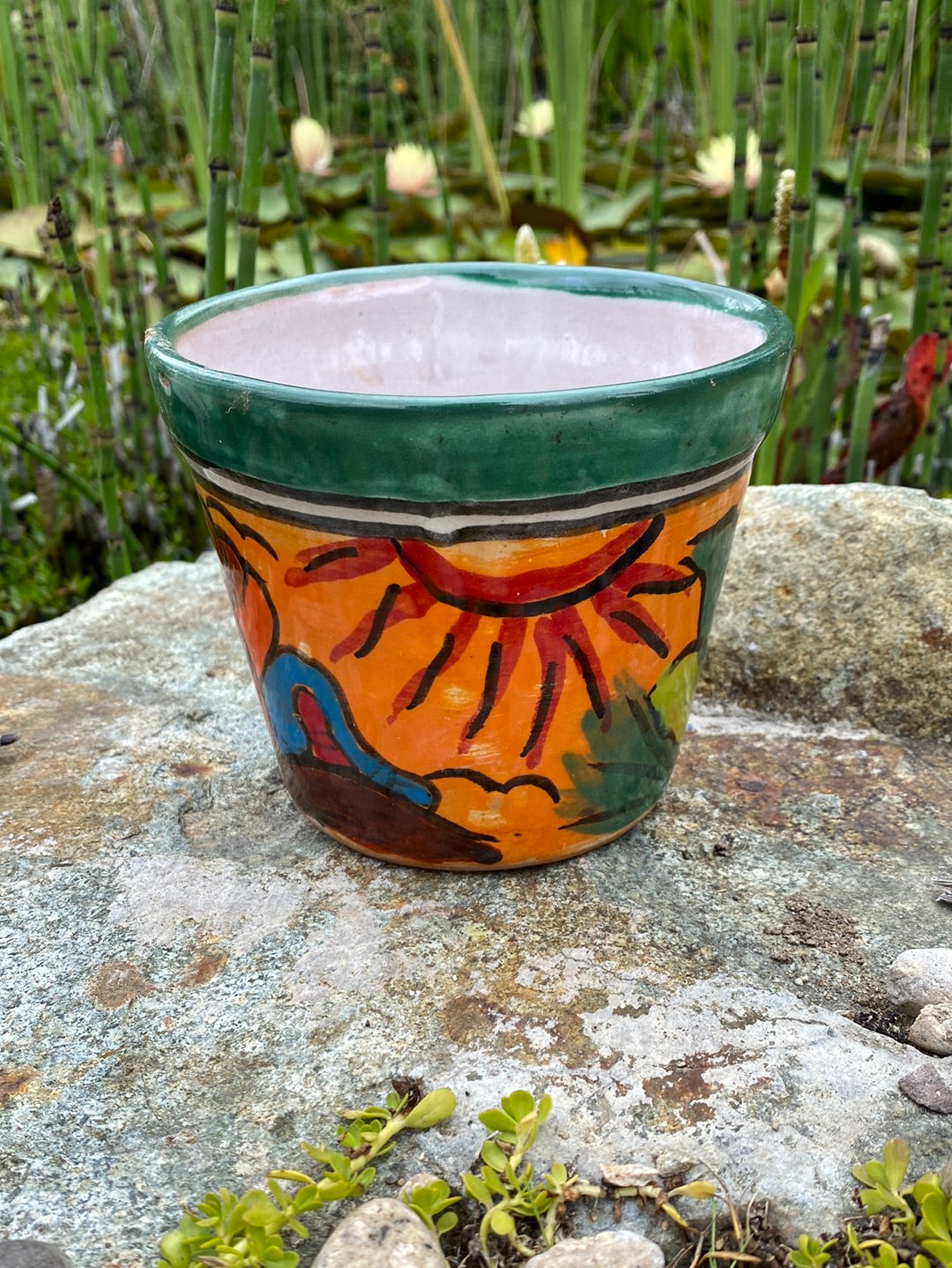 Felipe’s Talavera Wide Vaso Pot