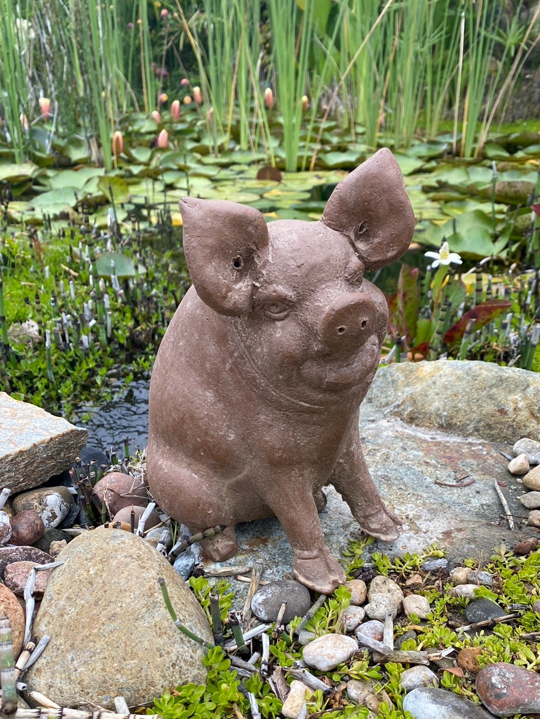 Pig Statue