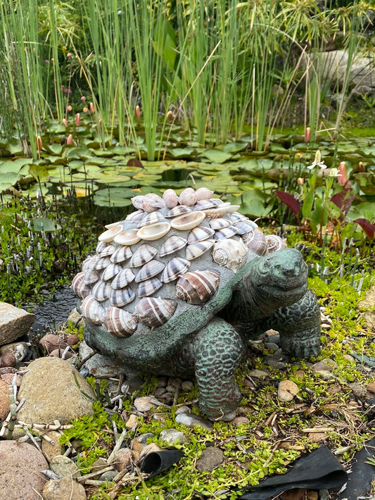 Seashell Tortoise Statue