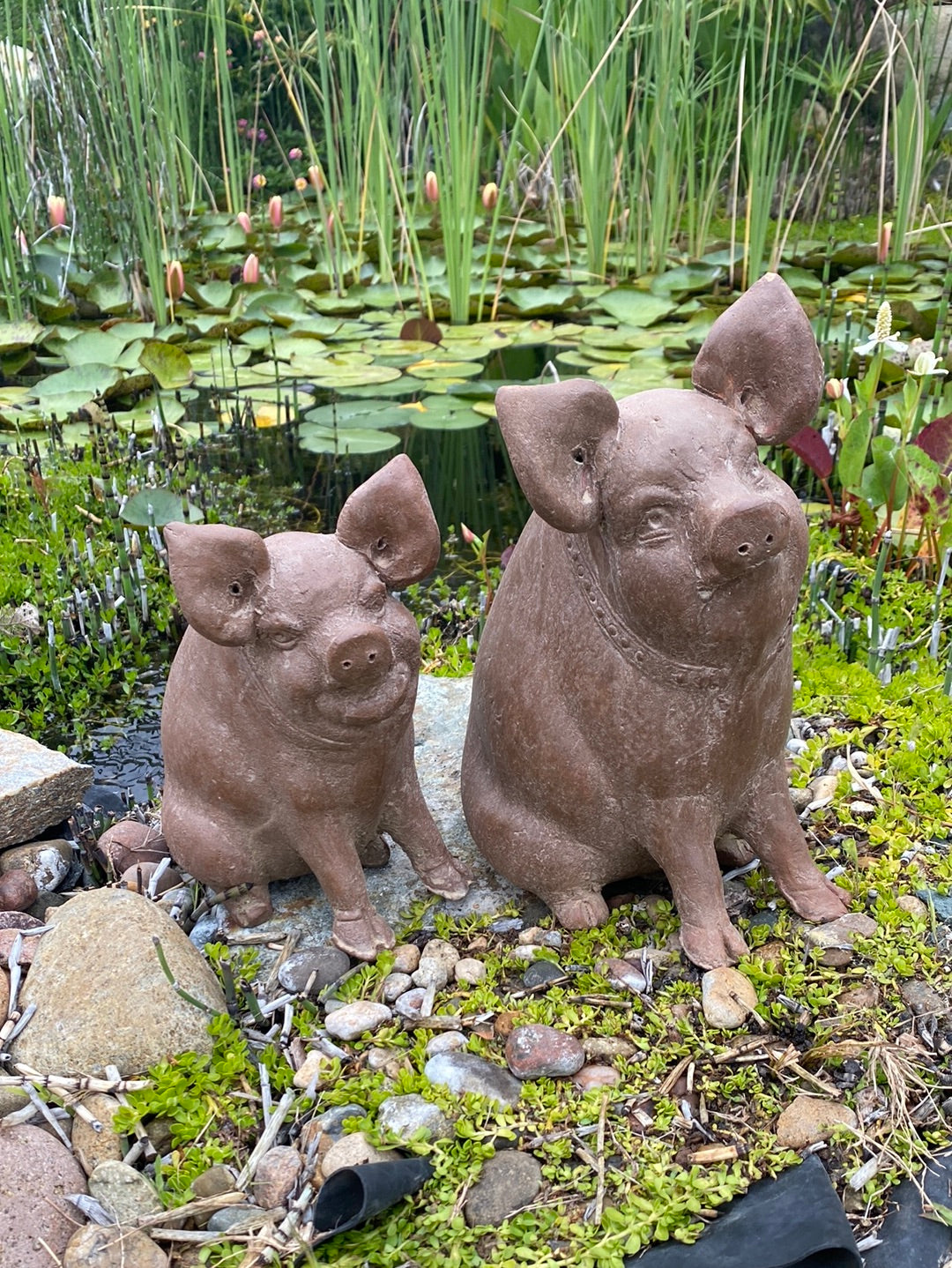 Pig Statue