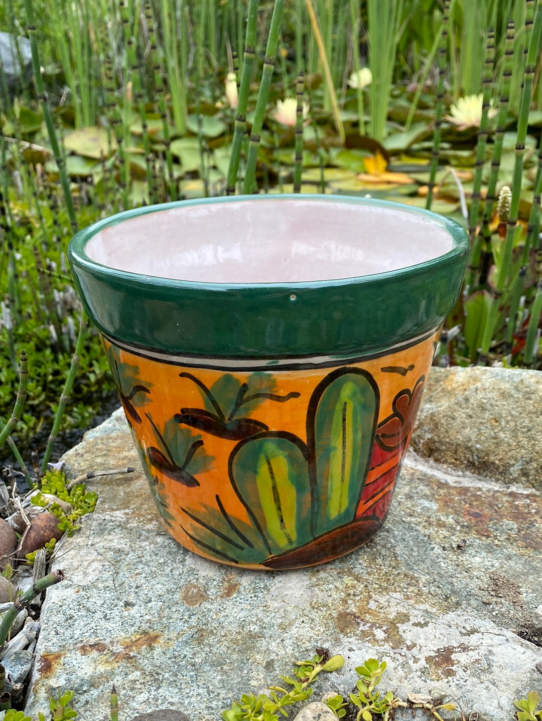 Felipe’s Talavera Wide Vaso Pot