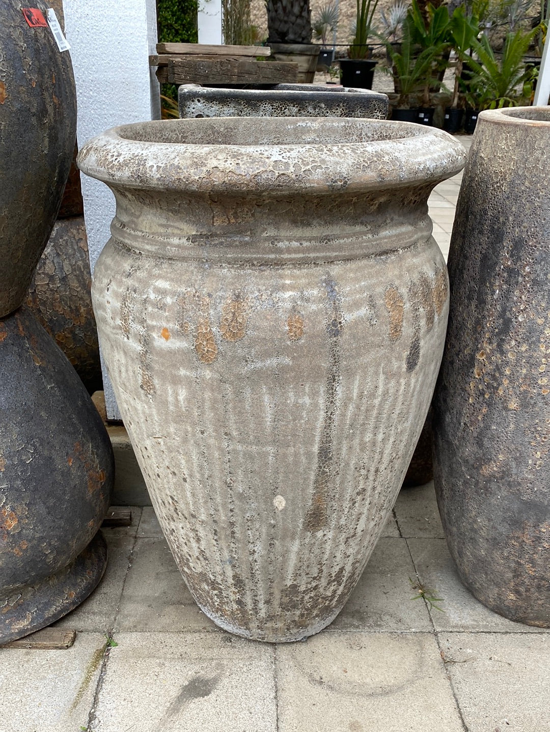 Vietnamese Atlantic Tall Jar Pot