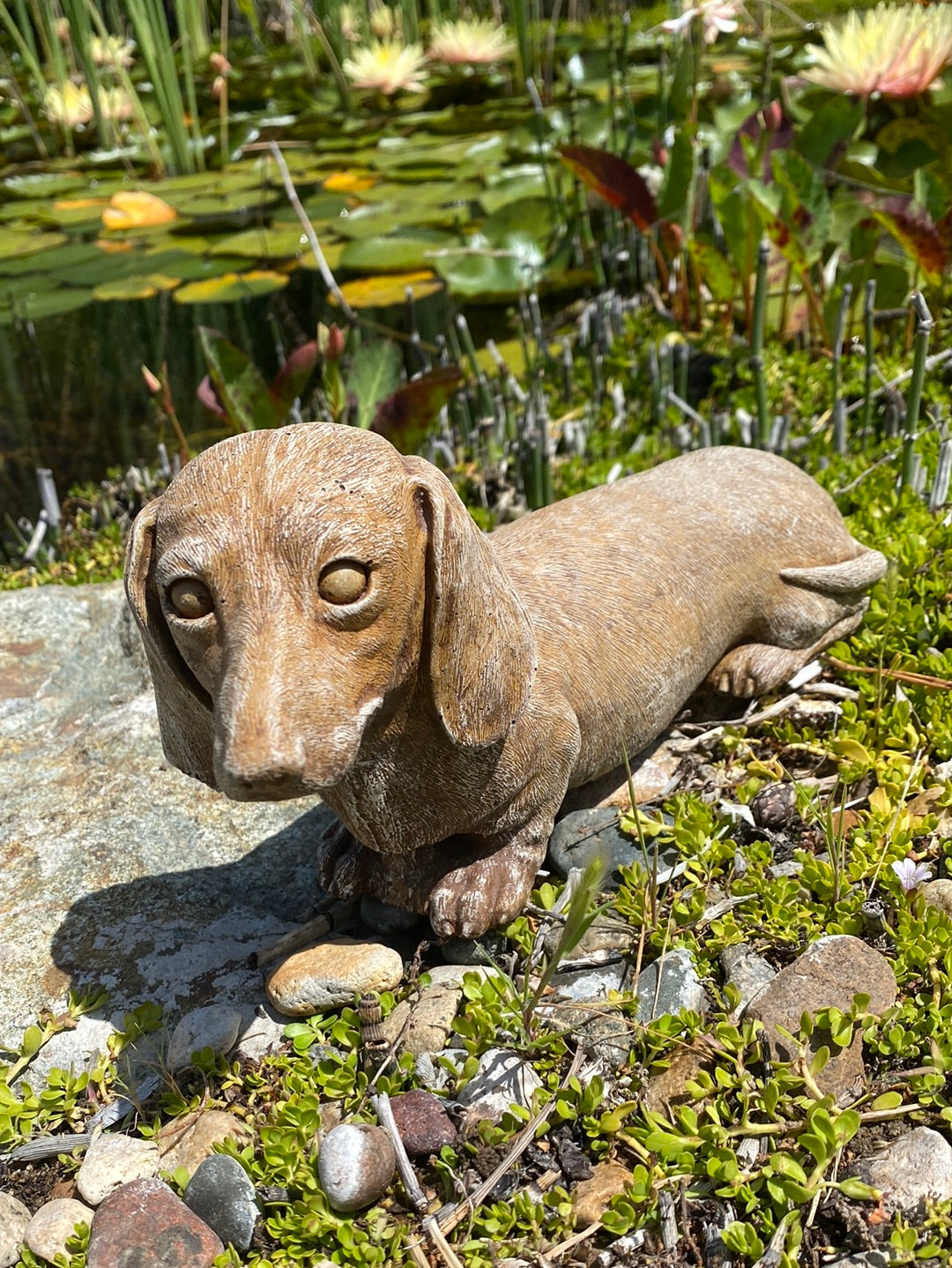 Wiener Dog Statue