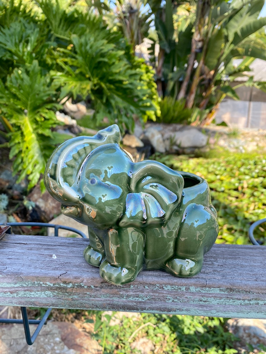 Elephant Pot