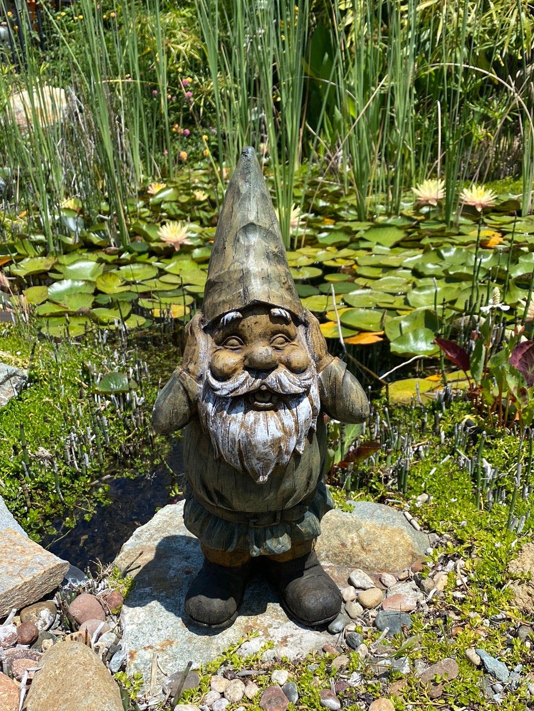 Hide and Seek Gnome Statue