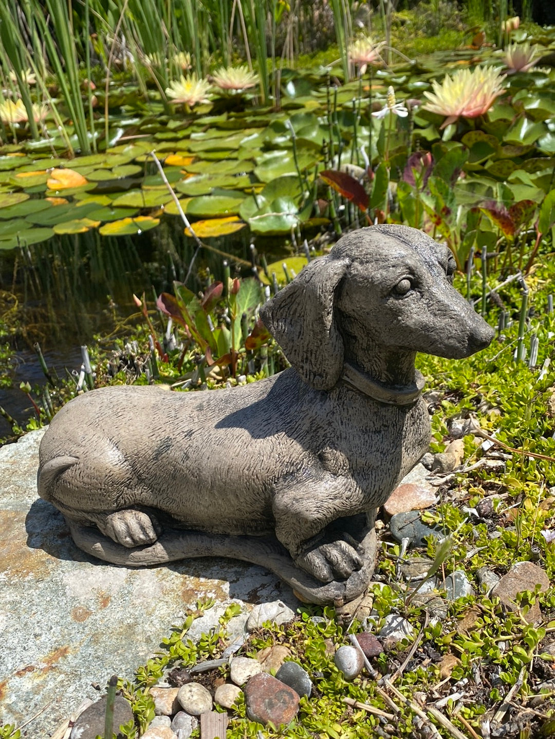 Wiener Dog Statue