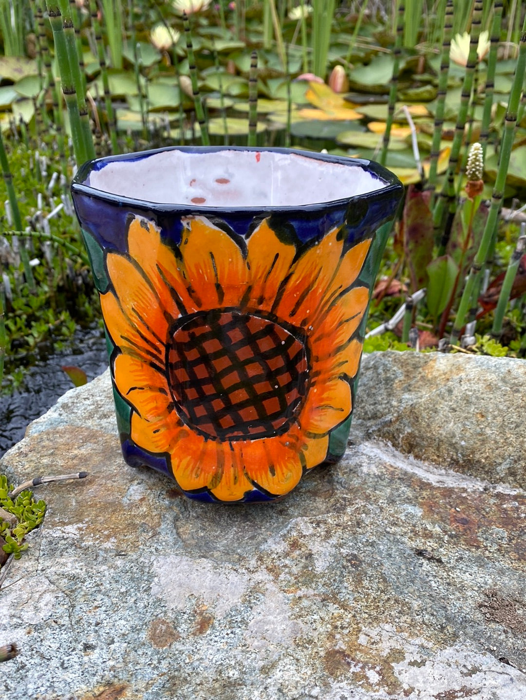 Felipe’s Talavera Octogonal Pot