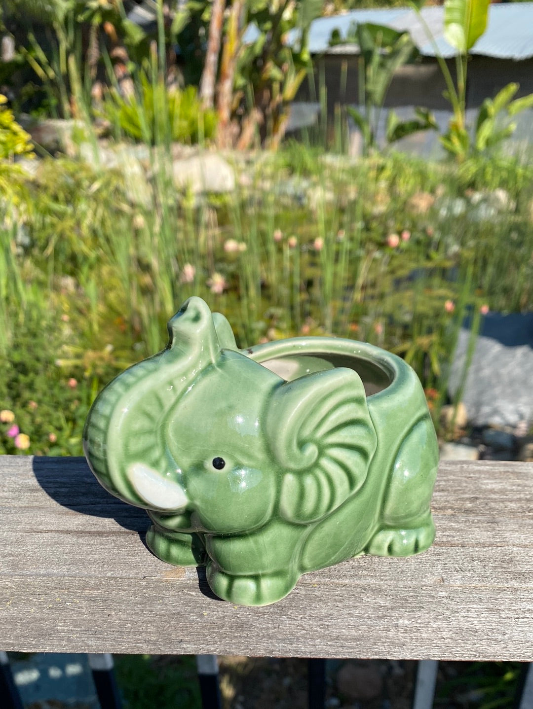 Elephant Pot