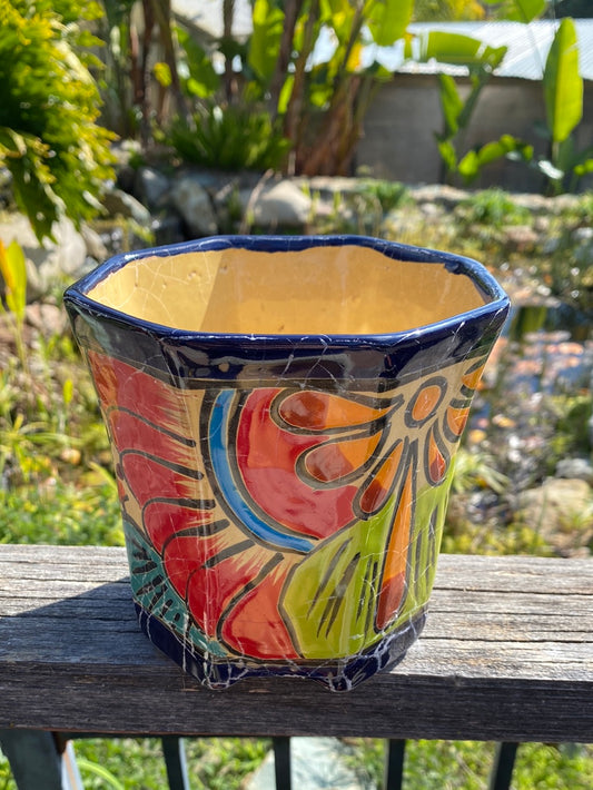 Felipe’s Talavera Octogonal Pot