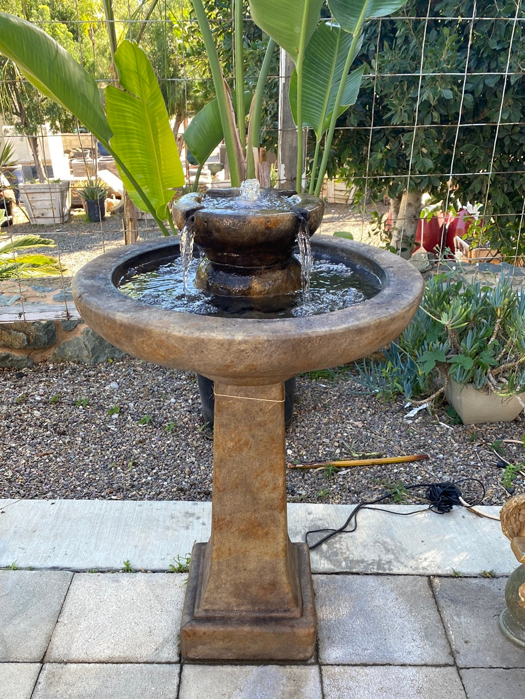 Aquarius Fountain