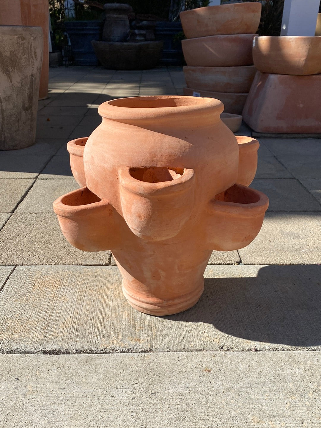 Vietnamese Terracotta Herb Pot