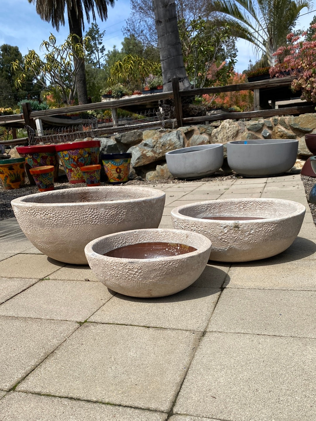 Mendocino Glebe Low Bowl Pot