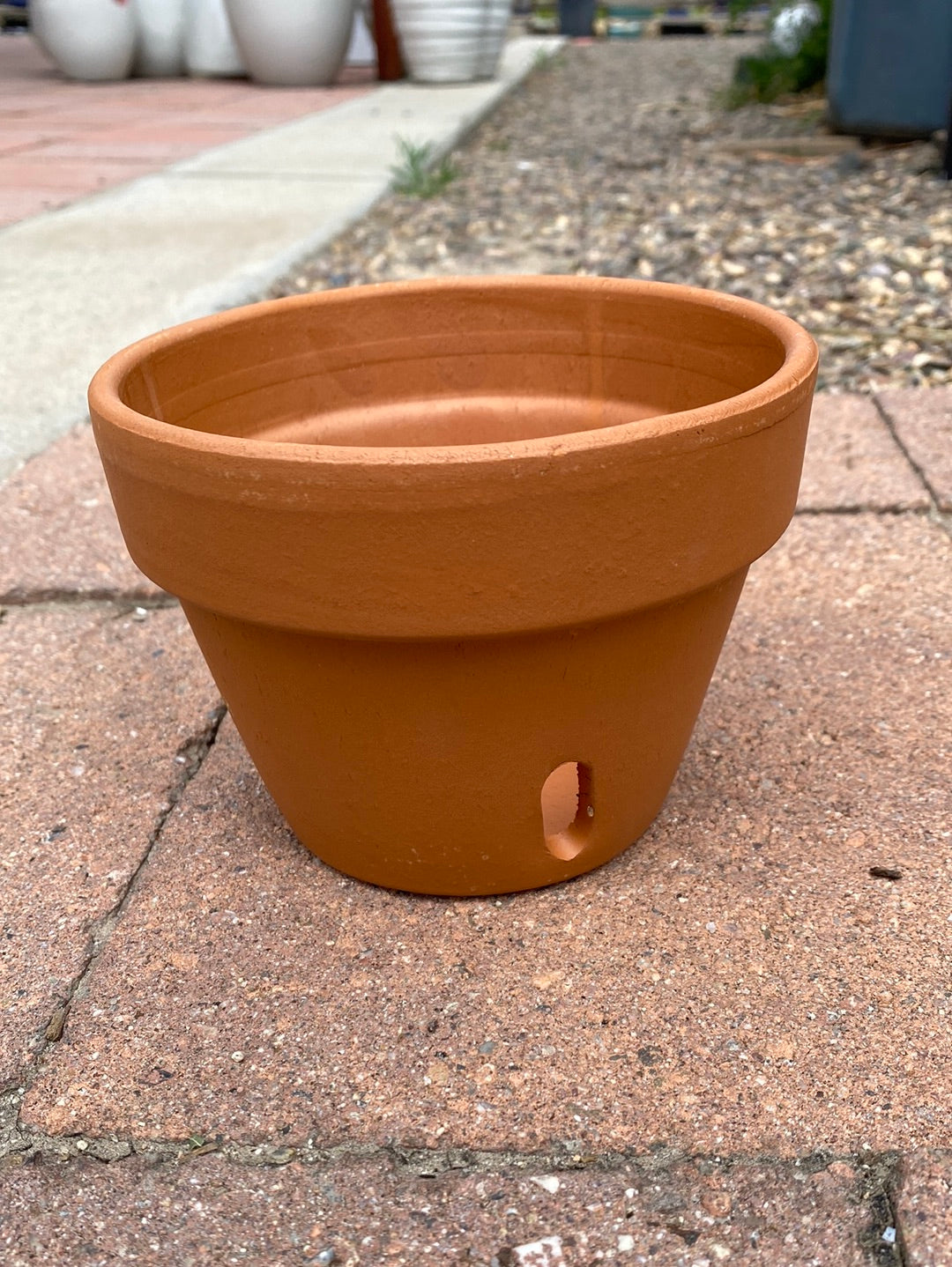 Italian Terracotta Orchid Pot