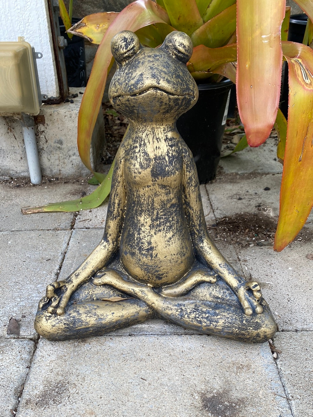 Meditating Frog Statue