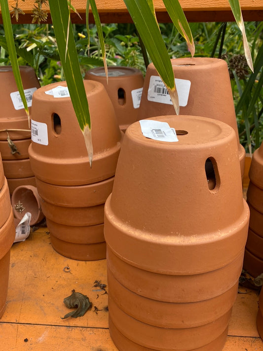 Italian Terracotta Orchid Pot