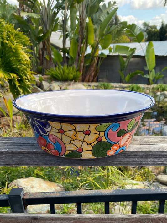 Talavera Cactus Basin Pot