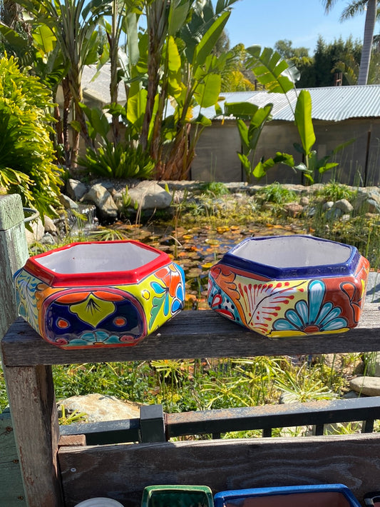 Talavera Hexagonal Pot